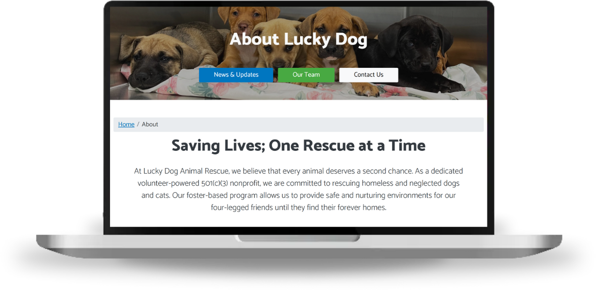 AI listing optimizer