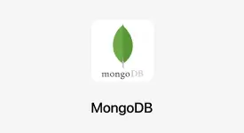 Mongo DB